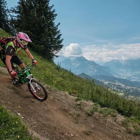 3 Pièces Lumineux Avec Vue Sur Les Alpes Suisses Appartamento Gryon