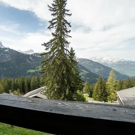 3 Pieces Lumineux Avec Vue Sur Les Alpes Suisses Apartmán *