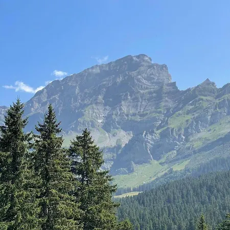 Appartamento 3 Pièces Lumineux Avec Vue Sur Les Alpes Suisses Gryon