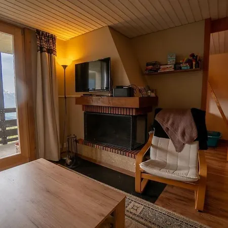 3 Pieces Lumineux Avec Vue Sur Les Alpes Suisses Apartmán *