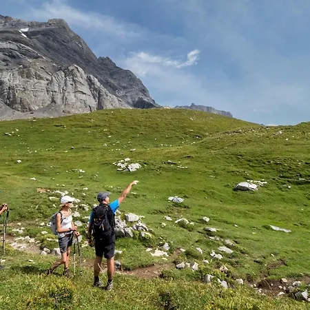 3 Pièces Lumineux Avec Vue Sur Les Alpes Suisses *